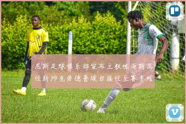 尼斯足球俱乐部宣布主教练海斯离任新帅克劳德普埃尔接任至赛季结束