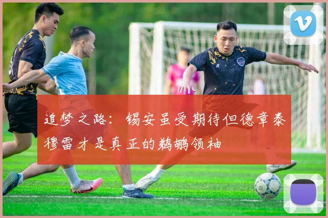 追梦之路：锡安虽受期待但德章泰穆雷才是真正的鹈鹕领袖