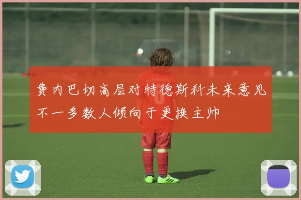 费内巴切高层对特德斯科未来意见不一多数人倾向于更换主帅