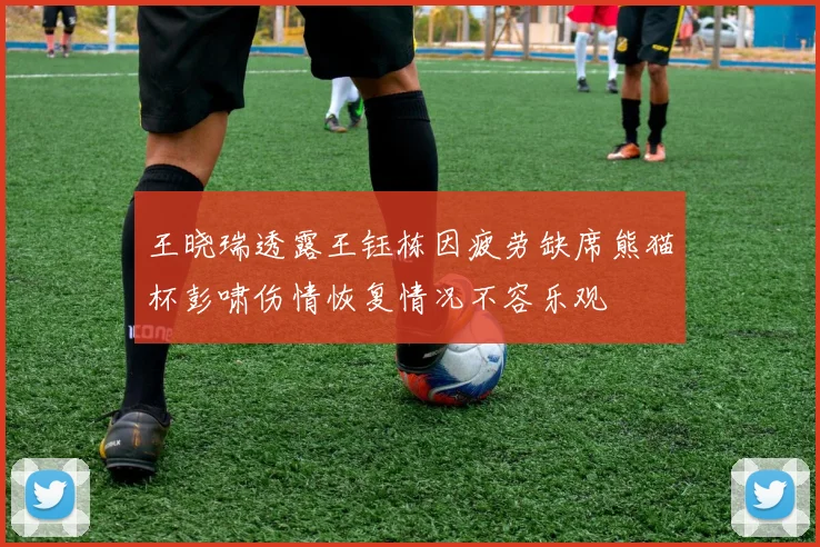 王晓瑞透露王钰栋因疲劳缺席熊猫杯彭啸伤情恢复情况不容乐观