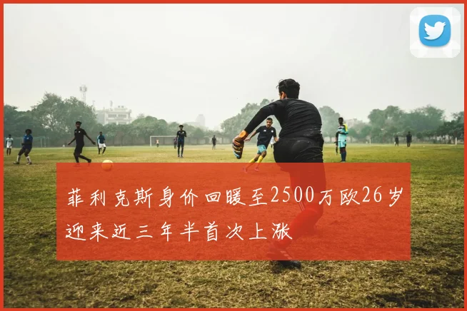 菲利克斯身价回暖至2500万欧26岁迎来近三年半首次上涨